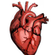 Zora_Heart