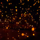 Sparkles