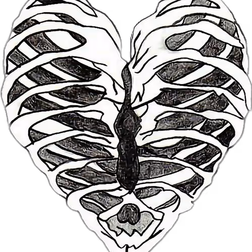 Bones Gallery