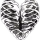 Bones Gallery