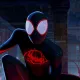 Spider BooBY