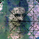 labyrinthian network