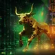 Bull is Run