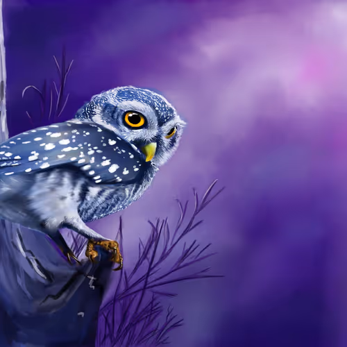 Fantasy Owl