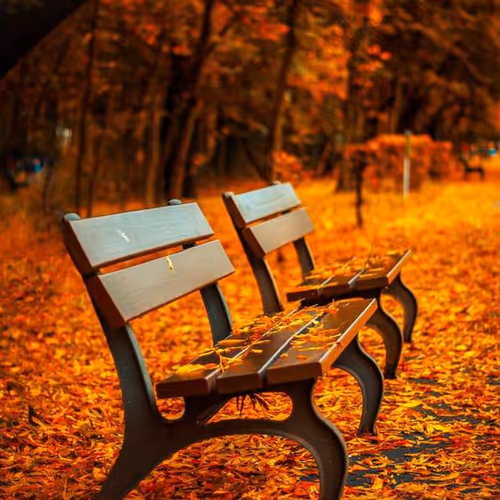 Principle Relates Include