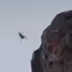 free_bird_mp3