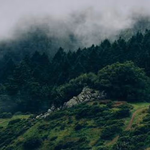 Intranet Rent Somehow