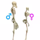 Bones Love