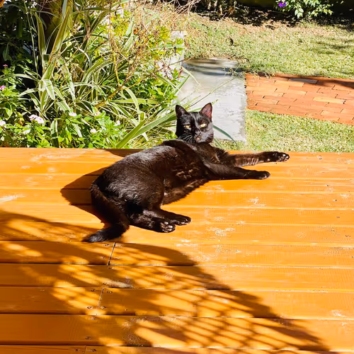 Lua