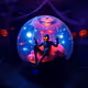Halloween Zorb  - May luck be yours this Halloween when black cats prowl and pumpkins glea
