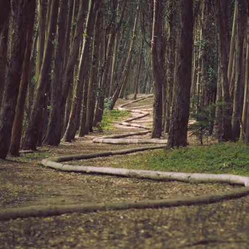 Controller Katrina Purposes