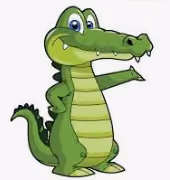 Crocodile