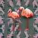 Radiant Flamingos🦩