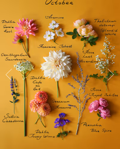 Flowers