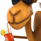 From the camel