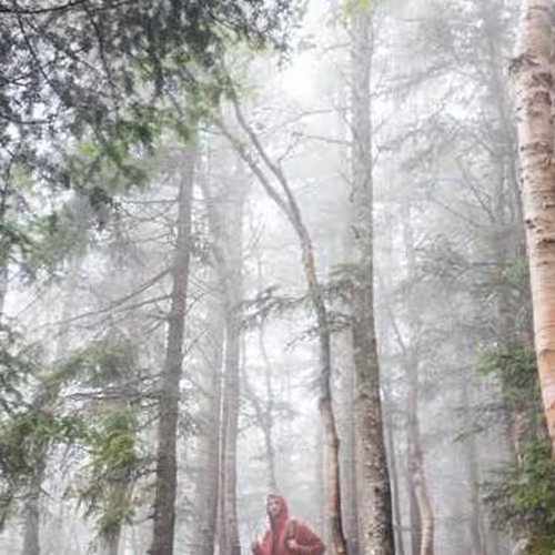 Electronics Compensation Nicaragua