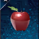 The Apple of my Heart