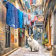 A cat in Hongkong Ⅱ