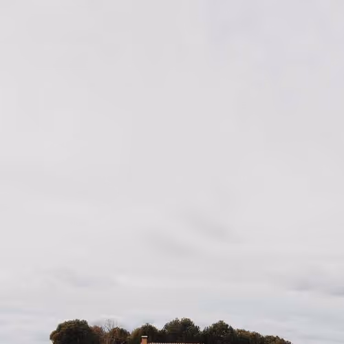 London Fox