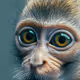 Baby animals