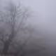 fog again