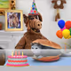 ALf
