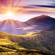 Sunshine