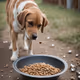 puppy food