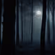 Moon In The Night