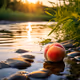 peach on the river