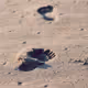 Tracker Perception