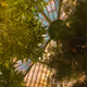 greenhouse