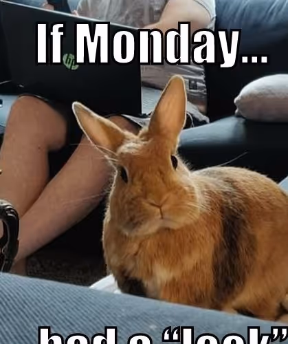 Monday