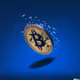Bitcoin Moon