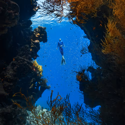 Attitudes are contagious