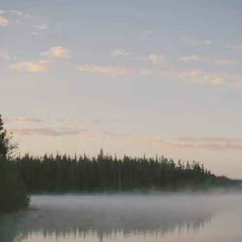 Occasional Tv Reserves