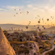 FlyTurkey