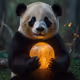 Panda zorb