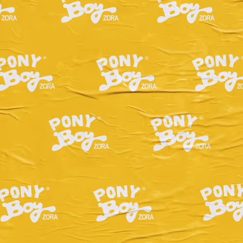 The Collaborative Universe of Pony boy