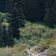 eskqeth