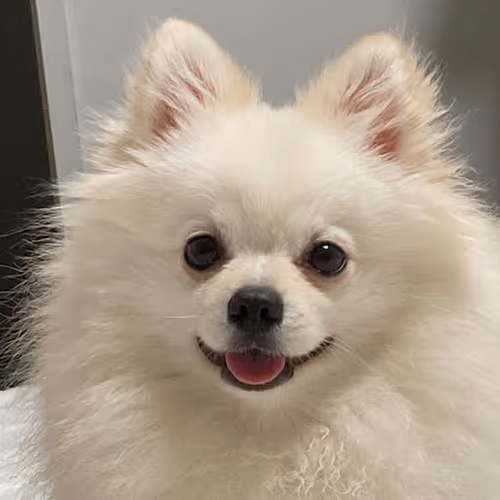 My son