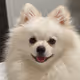 My son