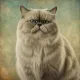 Golden Cat