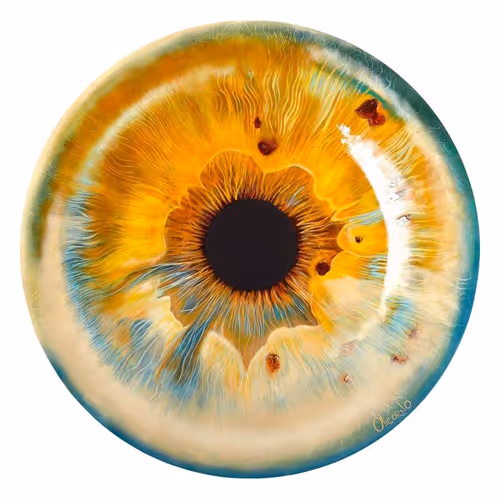 Eyes Zorb
