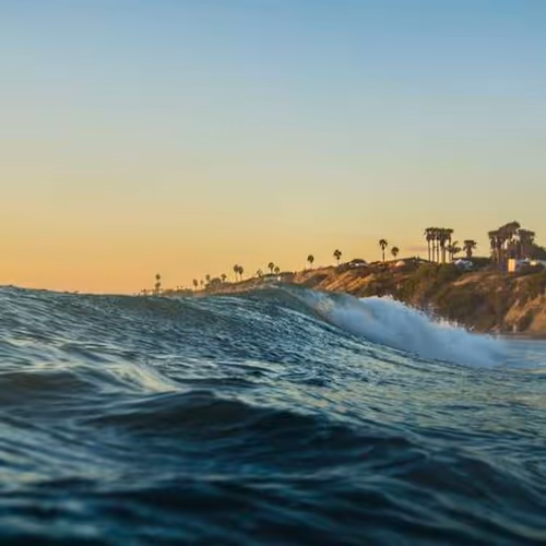 Russia Contents Cole