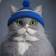 Cat Wif Hat on zora