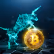 Bitcoin Bull