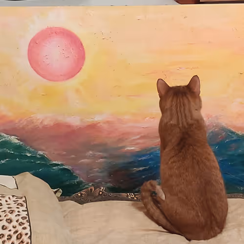SunnySummerCat