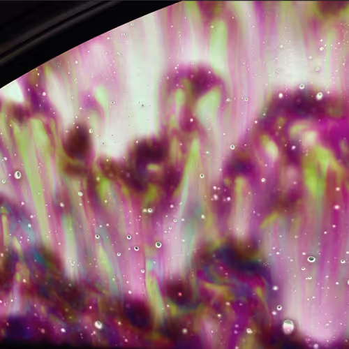 Car wash from inside