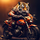 Zora Motocycle
